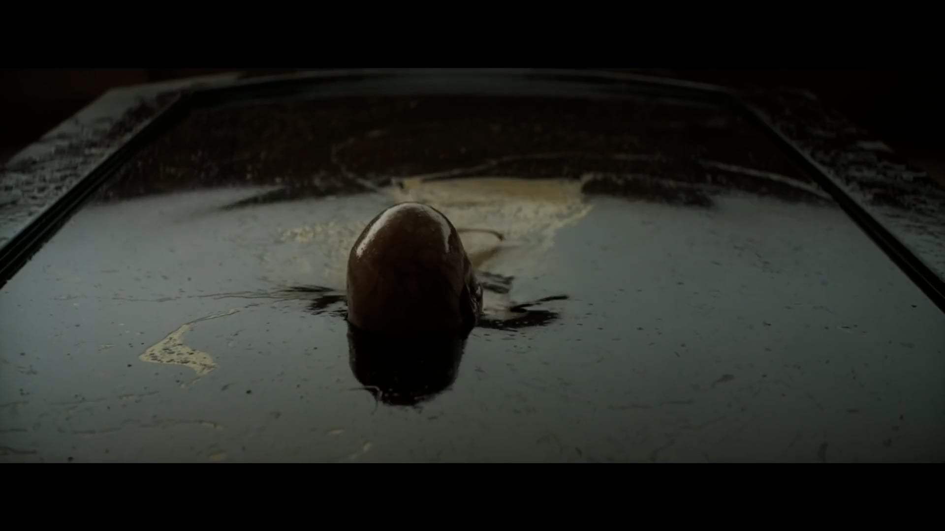 Dune Featurette - Royal Houses (2021) Screen Capture #3
