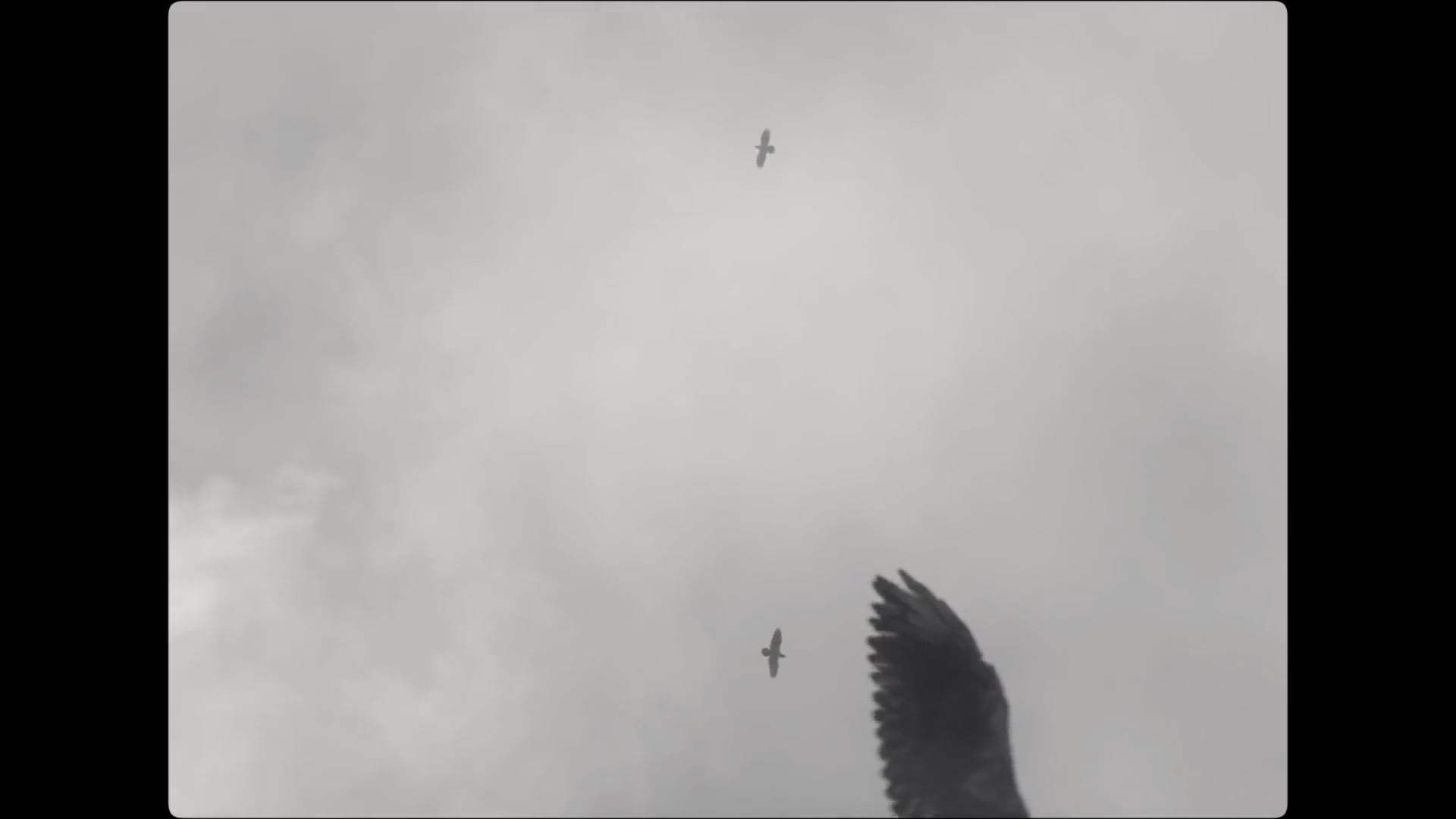 The Tragedy of Macbeth Teaser Trailer (2022) Screen Capture #1