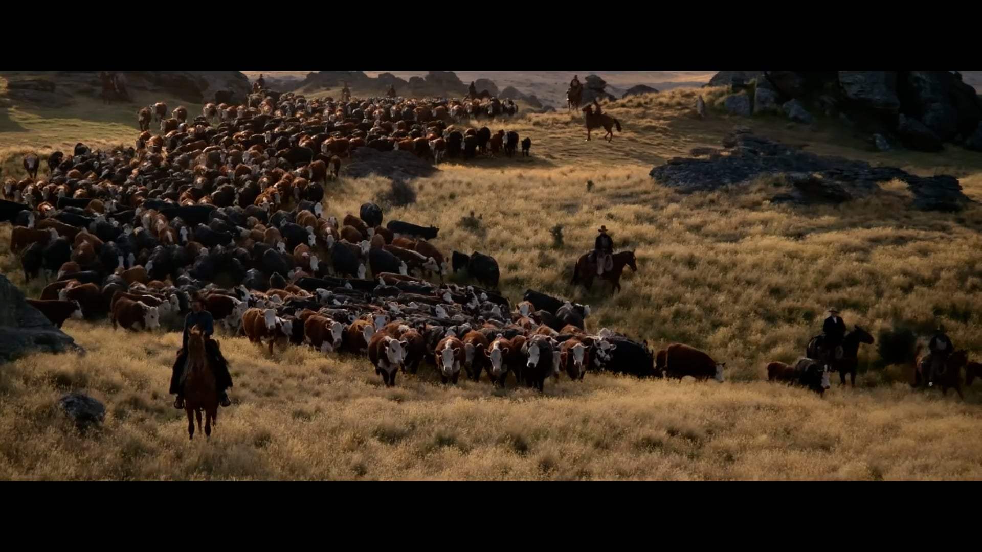 The Power of the Dog Theatrical Trailer (2021) Screen Capture #1
