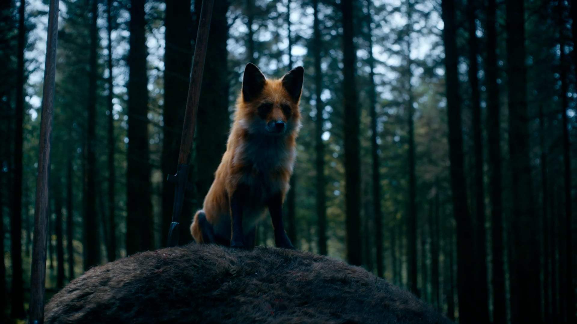 The Green Knight Re-Release Trailer (2020) Screen Capture #4