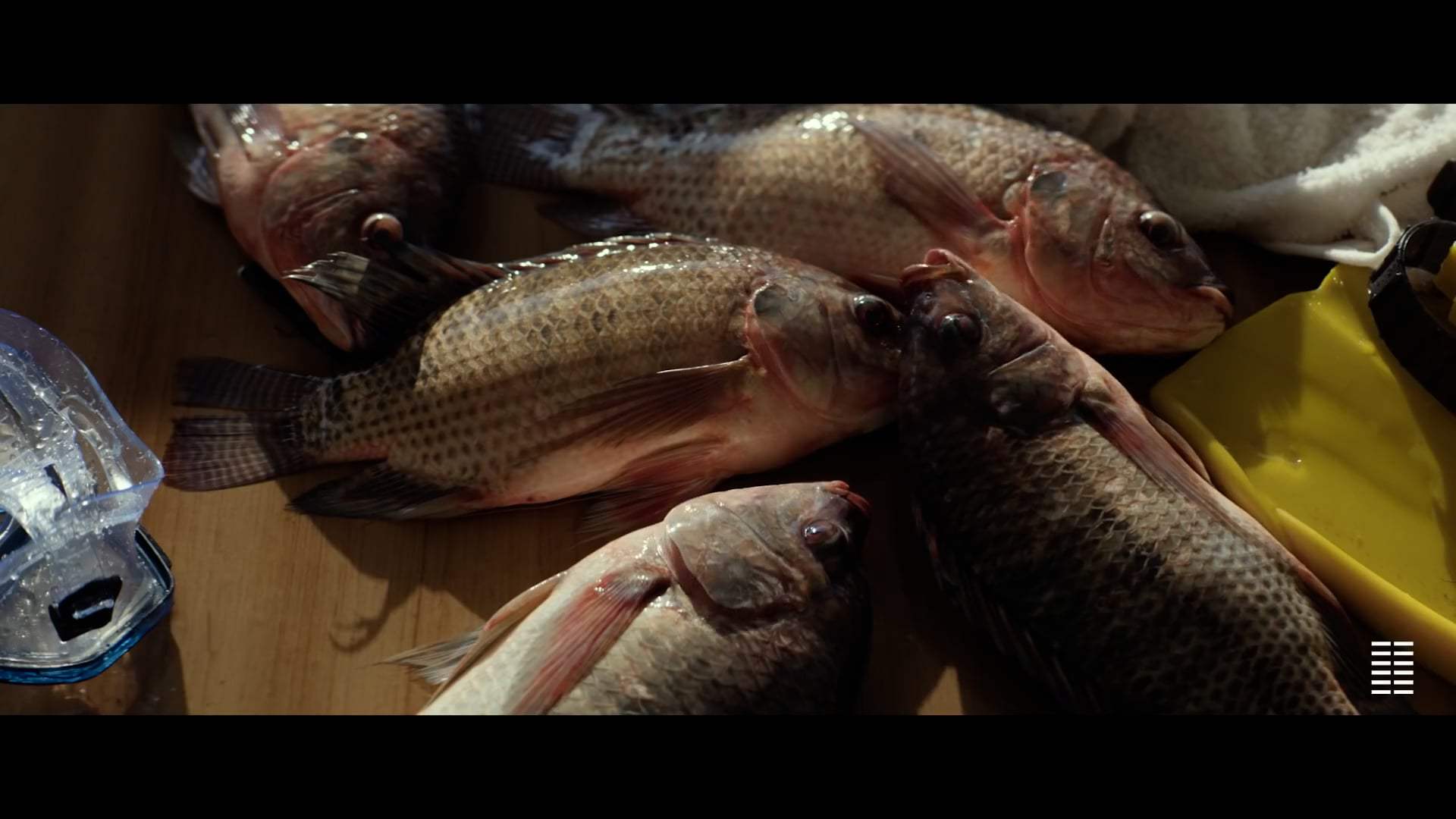Sundown Trailer (2022) Screen Capture #1