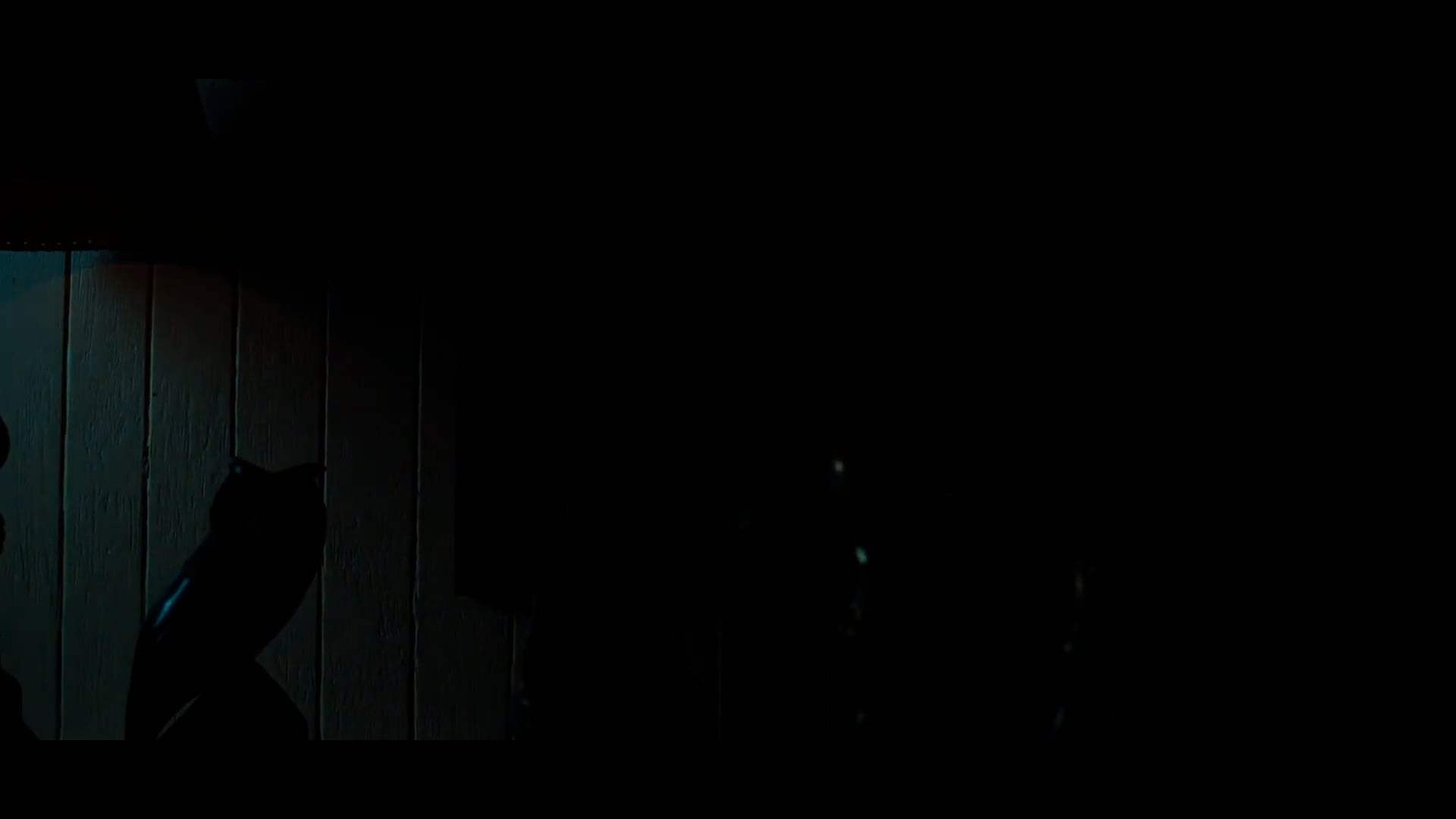 Nope Trailer (2022) Screen Capture #2