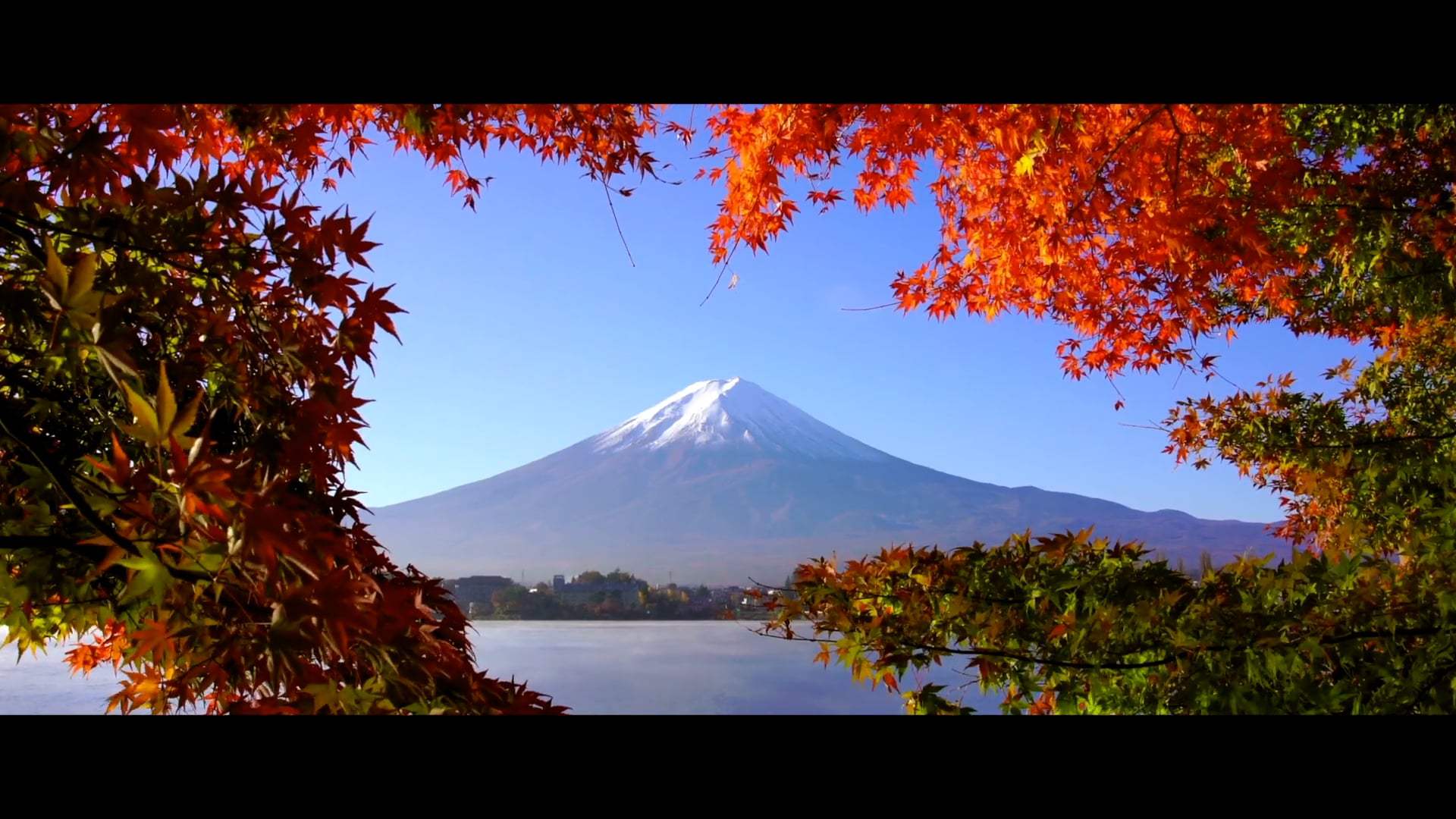 Bullet Train TV Spot - Get On Board (2022) Screen Capture #3