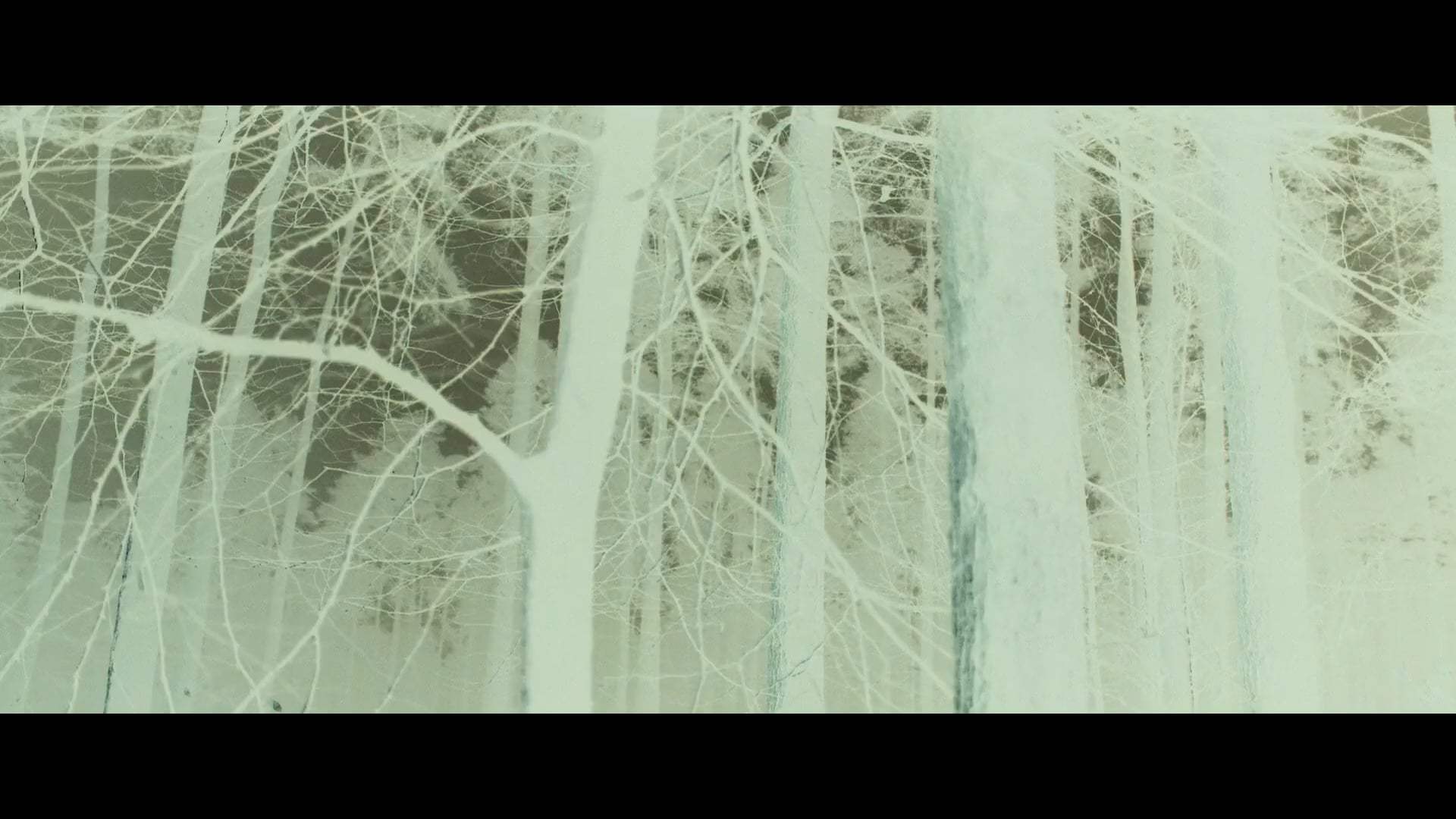 She Will Trailer (2022) Screen Capture #1