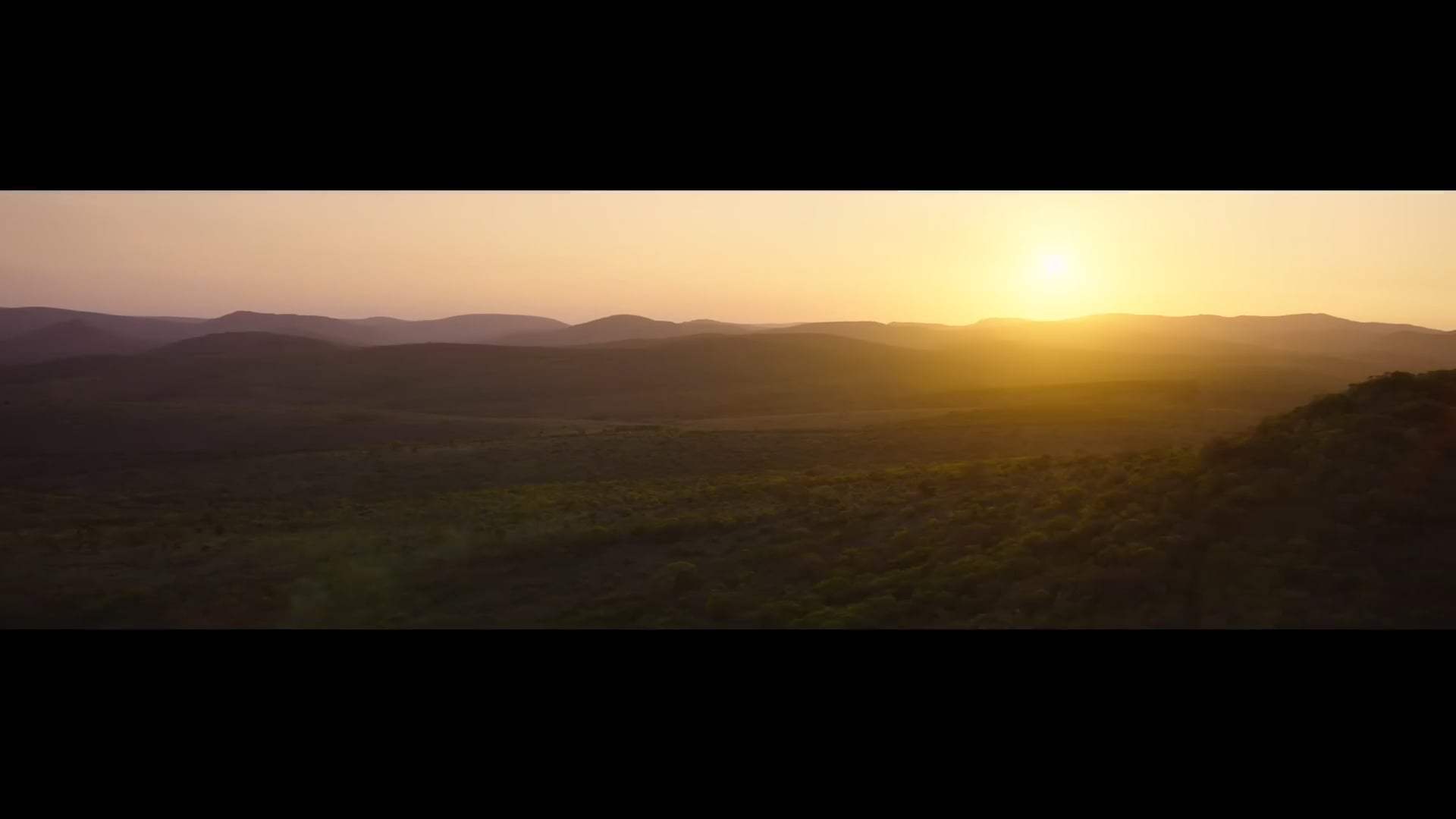 The Woman King Trailer (2022) Screen Capture #1