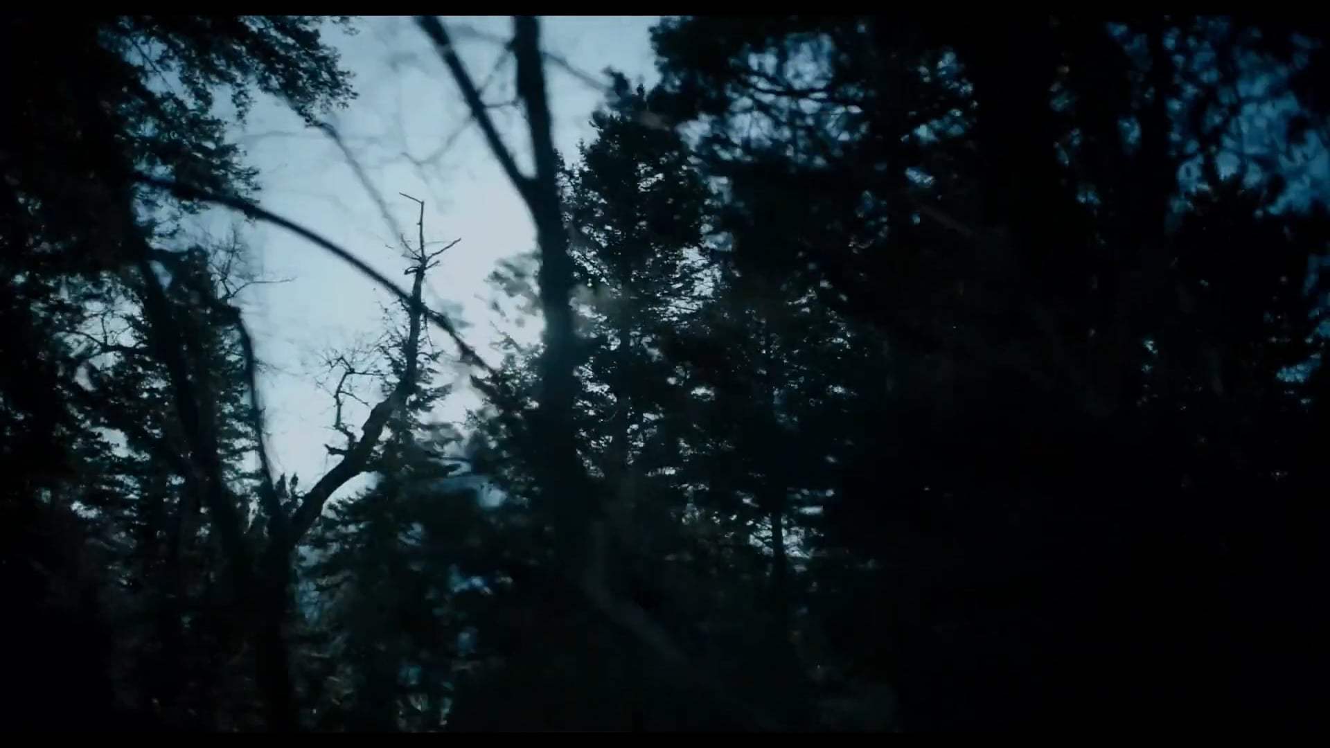 God's Country Trailer (2022) Screen Capture #1