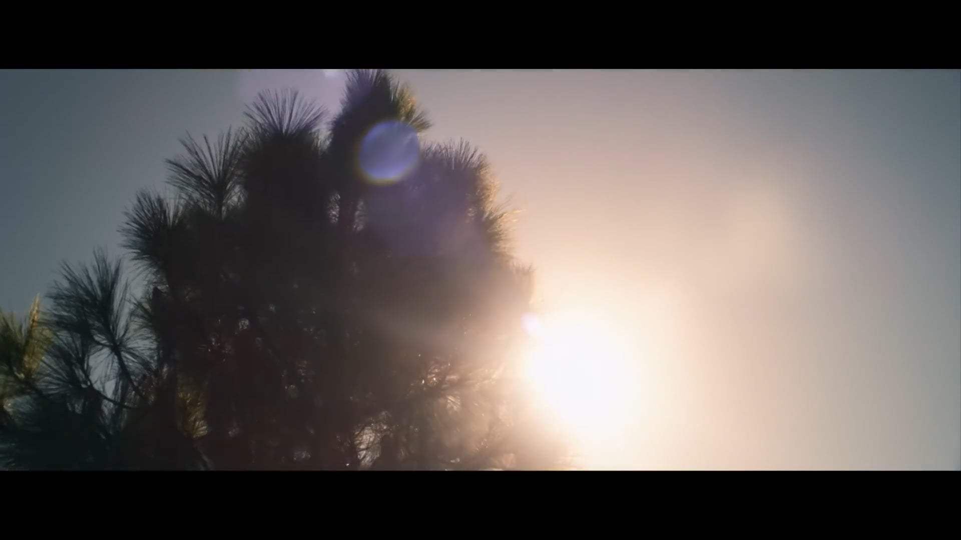 I'm Totally Fine Trailer (2022) Screen Capture #2