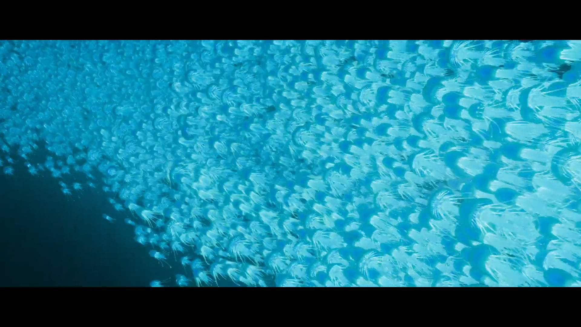 Ruby Gillman, Teenage Kraken Trailer (2023) Screen Capture #1