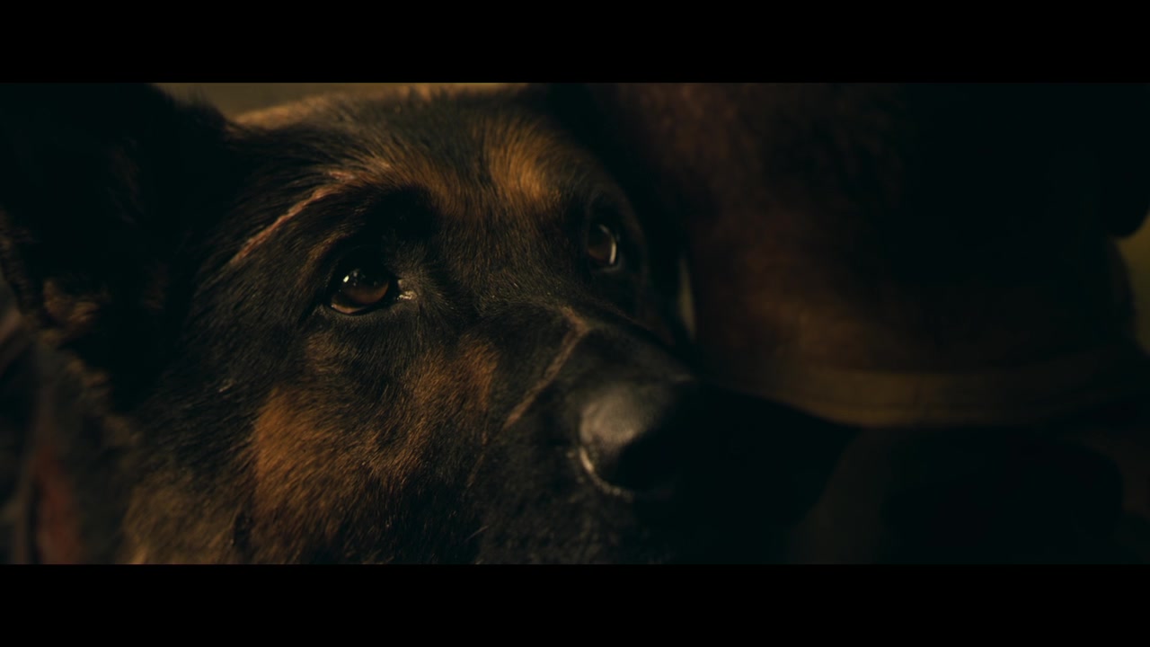 Heart Of The Beast Trailer (2026) Screen Capture #1