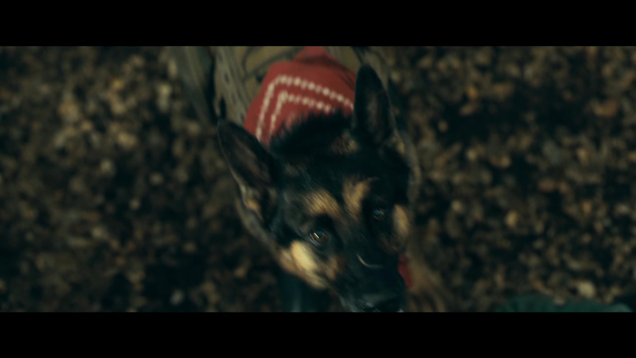 Heart Of The Beast Trailer 2 (2026) Screen Capture #3