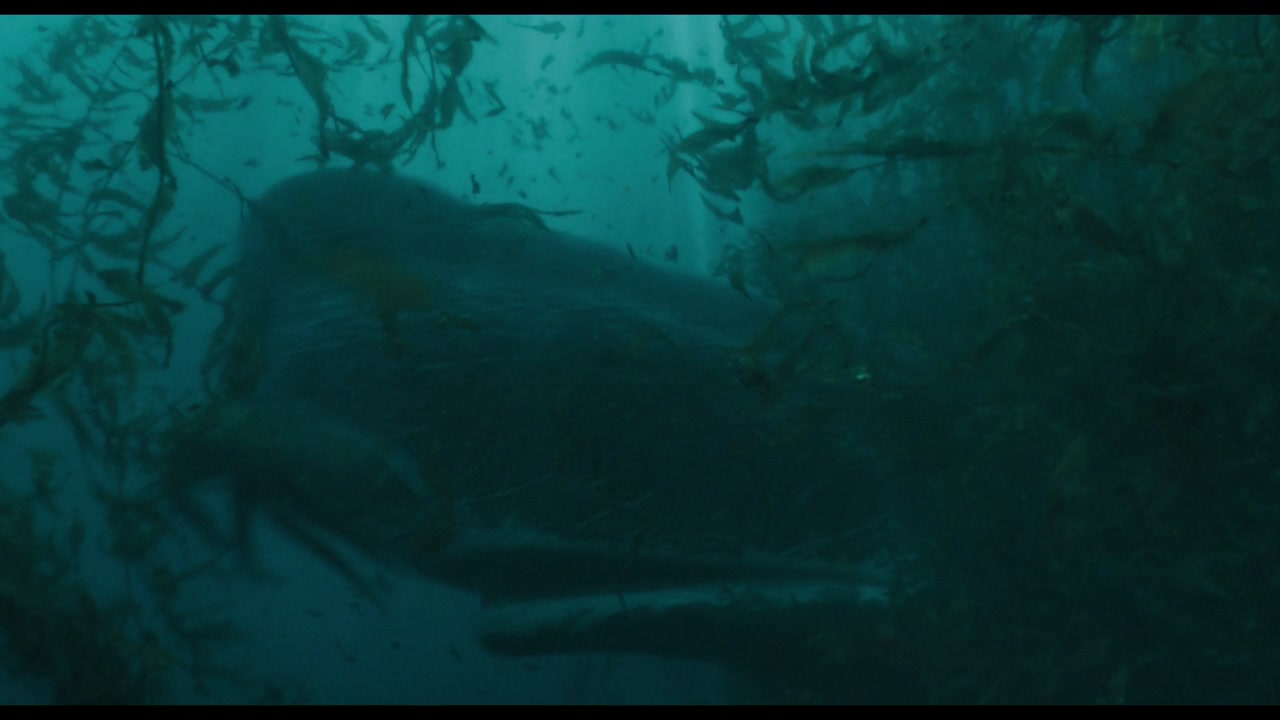 Whalefall Trailer (2026) Screen Capture #3