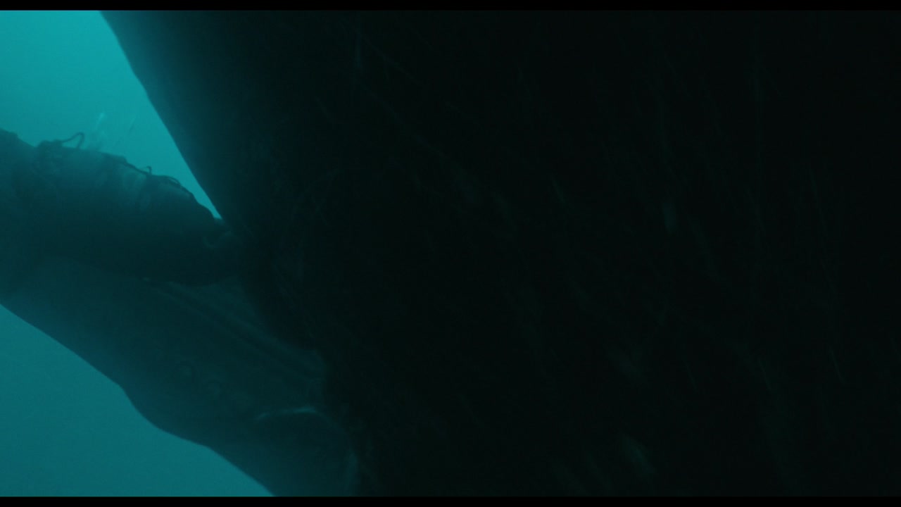 Whalefall Trailer (2026) Screen Capture #4