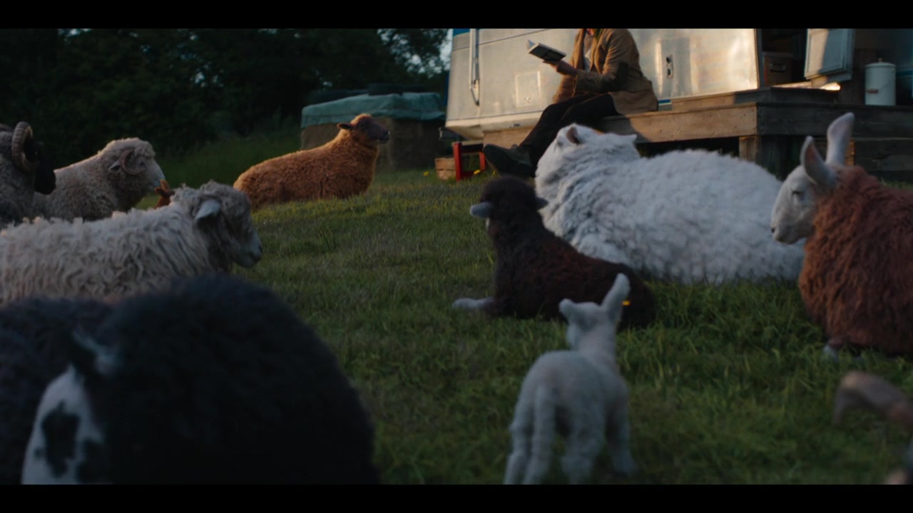 The Sheep Detectives Trailer (2026) Screen Capture #1
