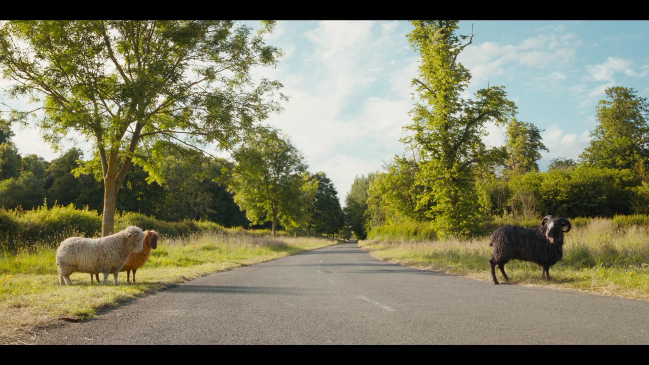 The Sheep Detectives Trailer (2026) Screen Capture #3