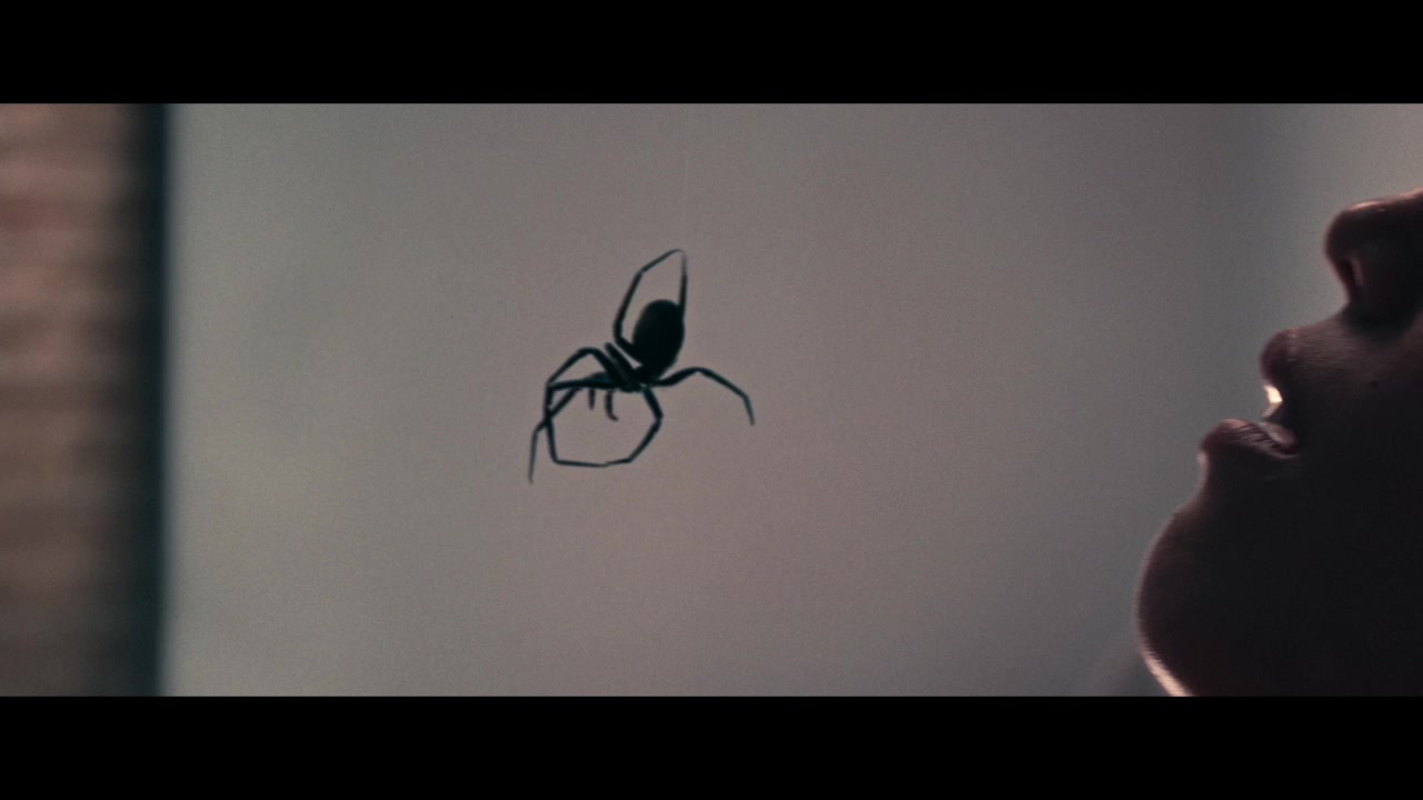 Crawlers Trailer (2026) Screen Capture #1