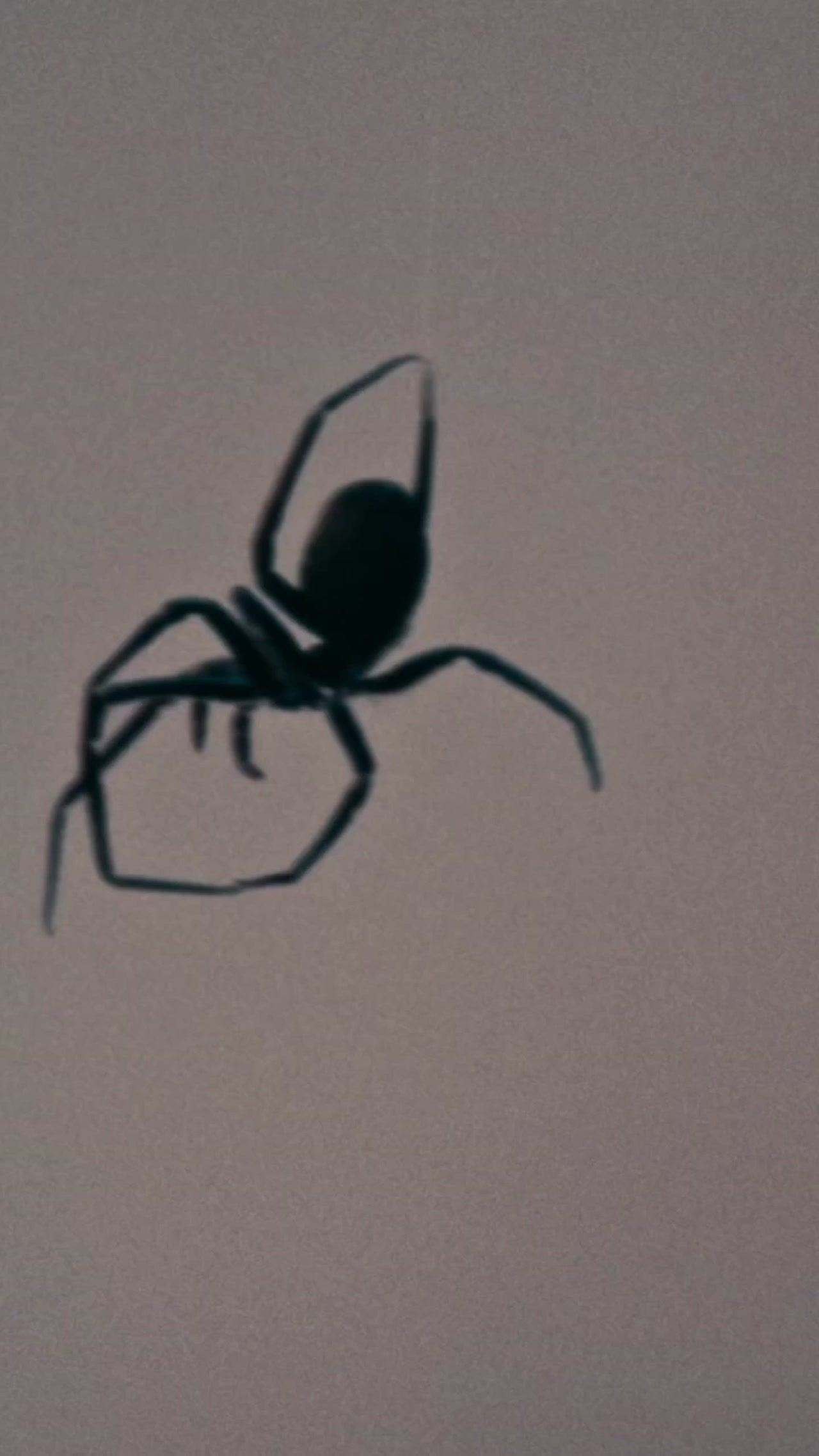 Crawlers Trailer 2 (2026) Screen Capture #1