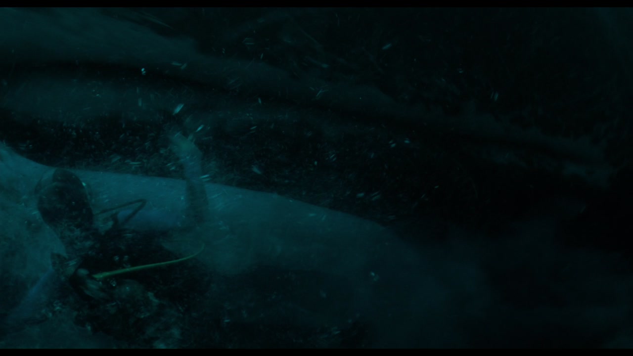 Whalefall Trailer 2 (2026) Screen Capture #2