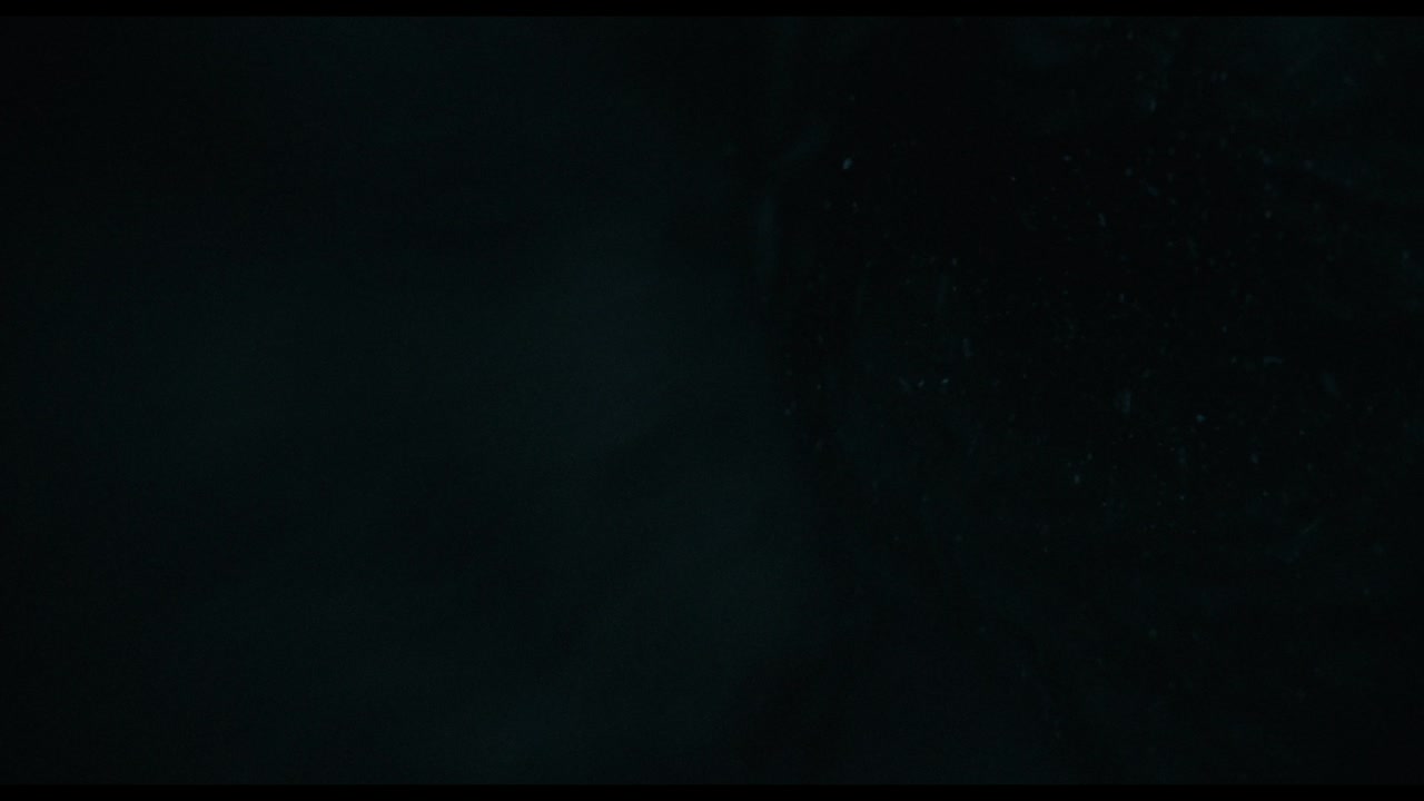 Whalefall Trailer 2 (2026) Screen Capture #3