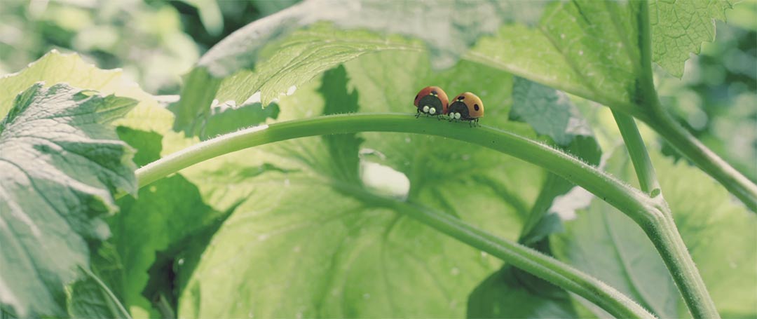 Miniscule Trailer Screencap