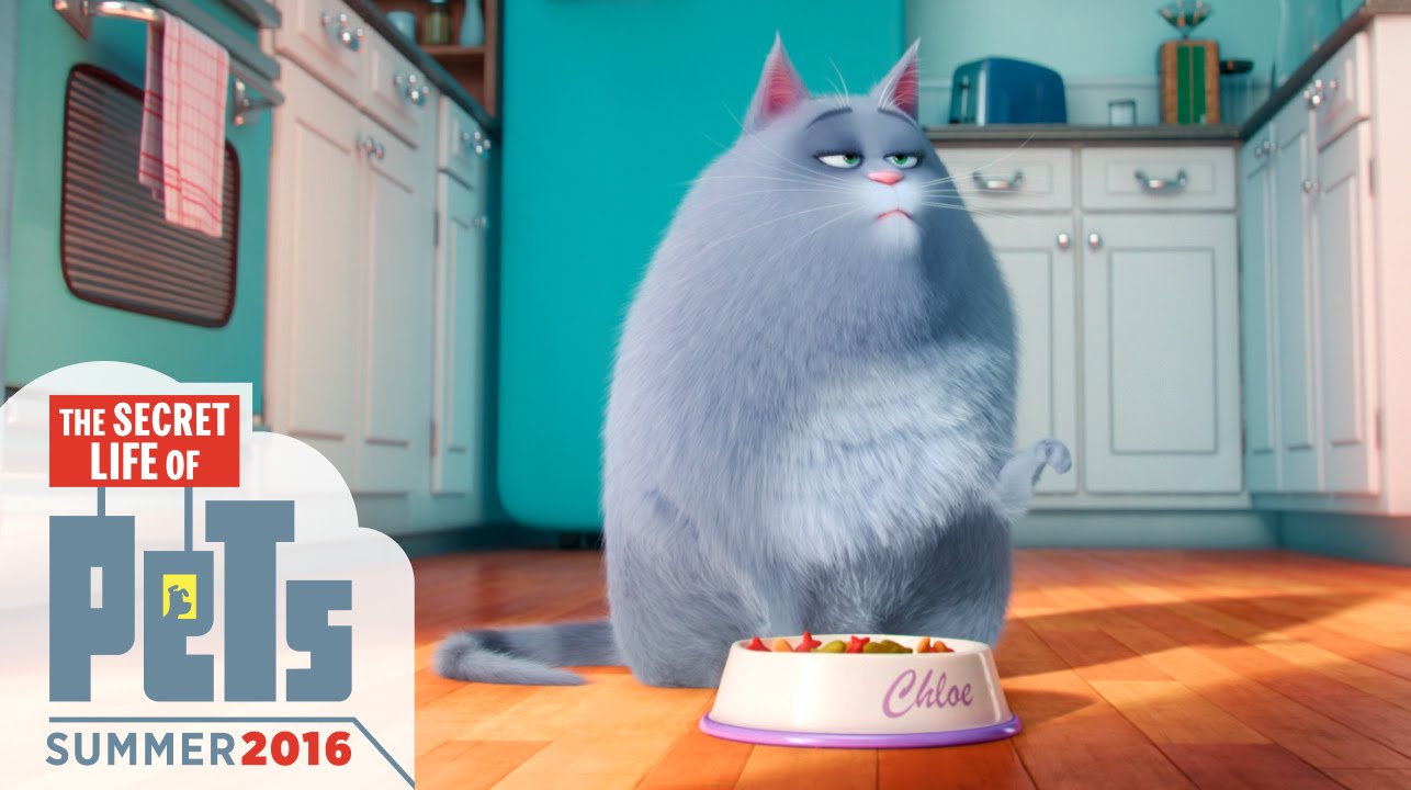 The Secrete Life of Pets Trailer Image