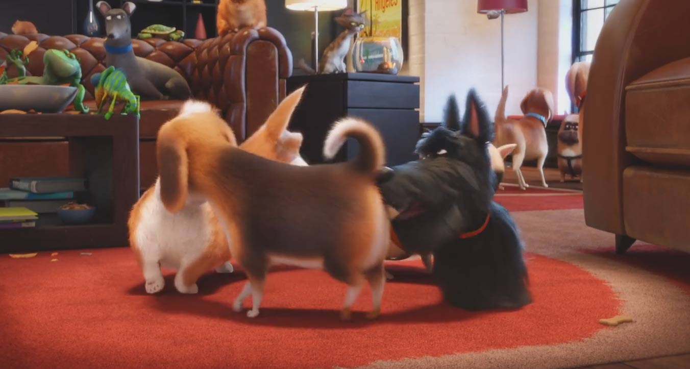 The Secret Life of Pets Butt Sniffs