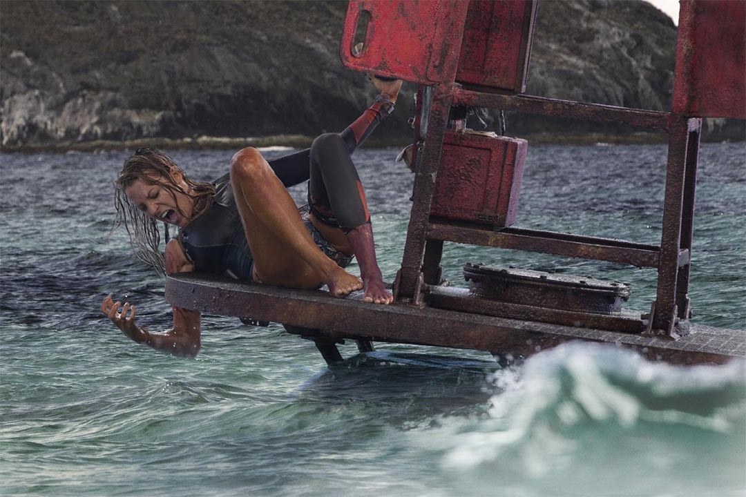 The Shallows Feature Trailer Screencap