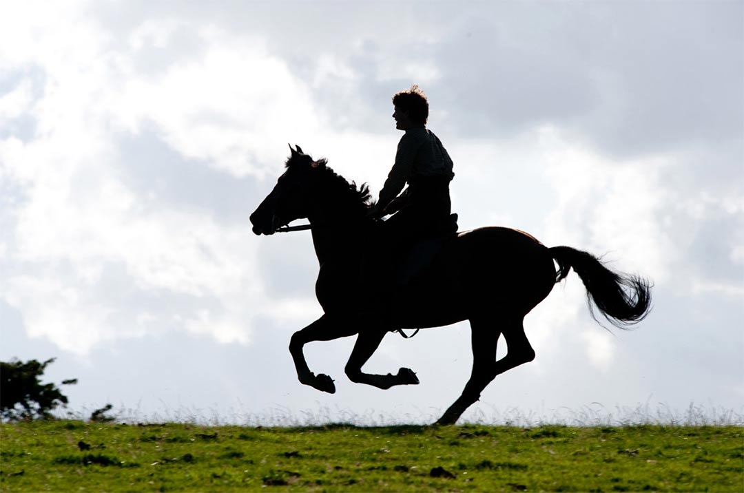 War Horse Trailer Screencap