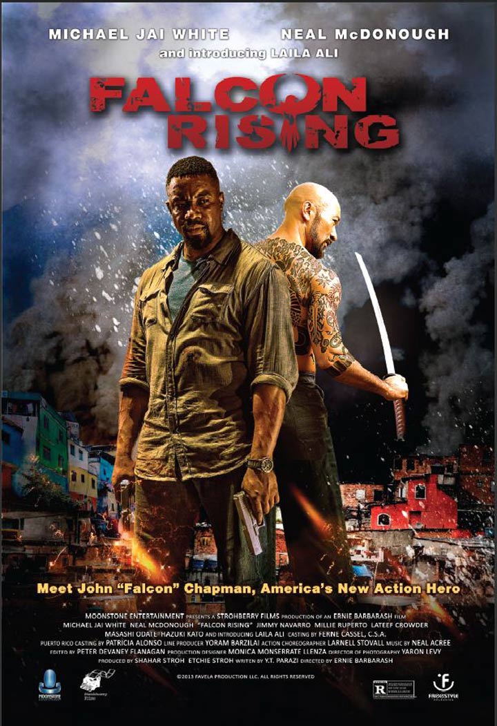 Falcon Rising Poster #1