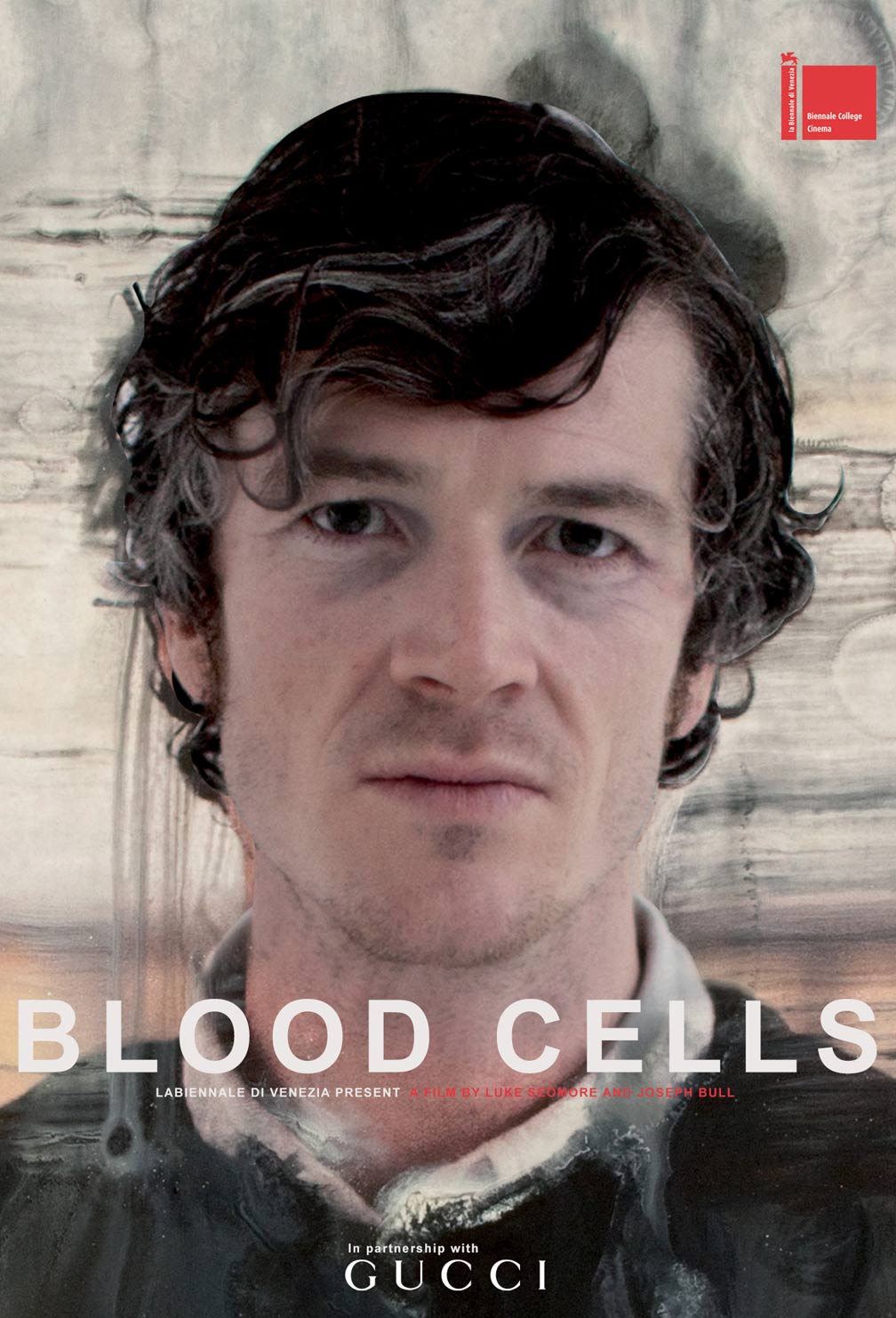 Blood Cells Poster #1