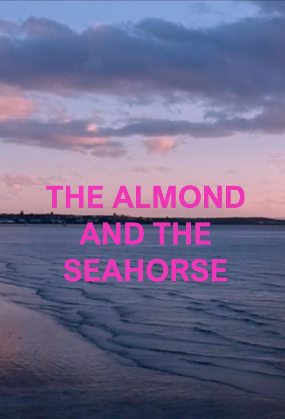 The Almond and the Seahorse Poster #1