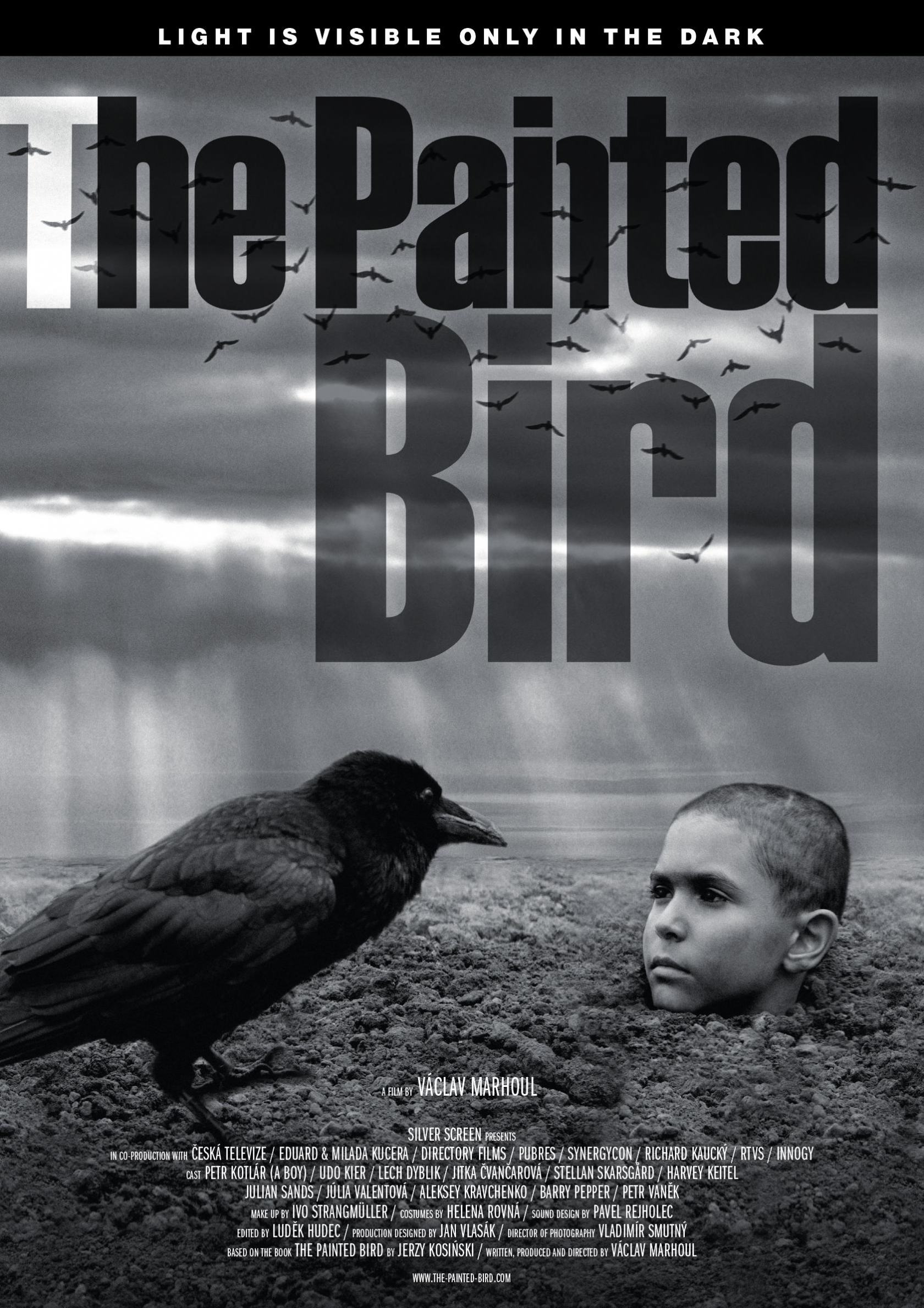 The Painted Bird Poster #1