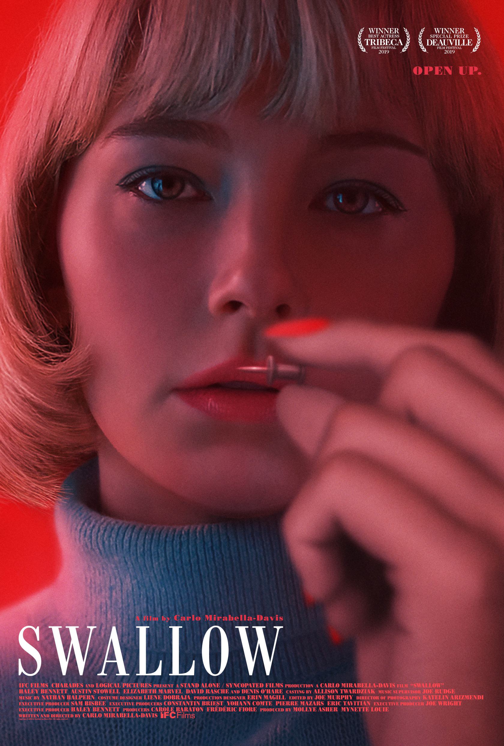 Swallow Poster #1