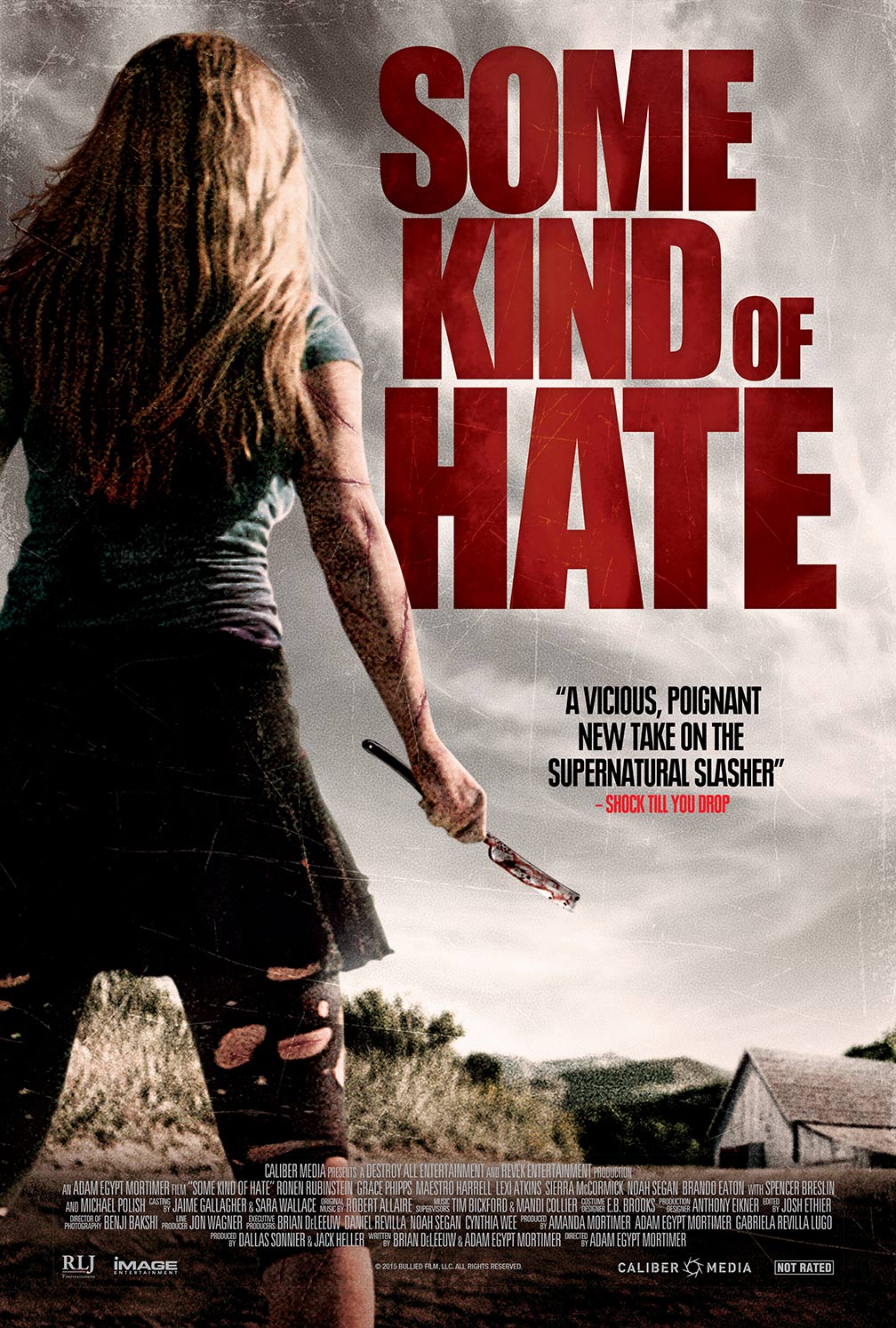 Some Kind of Hate Poster #1