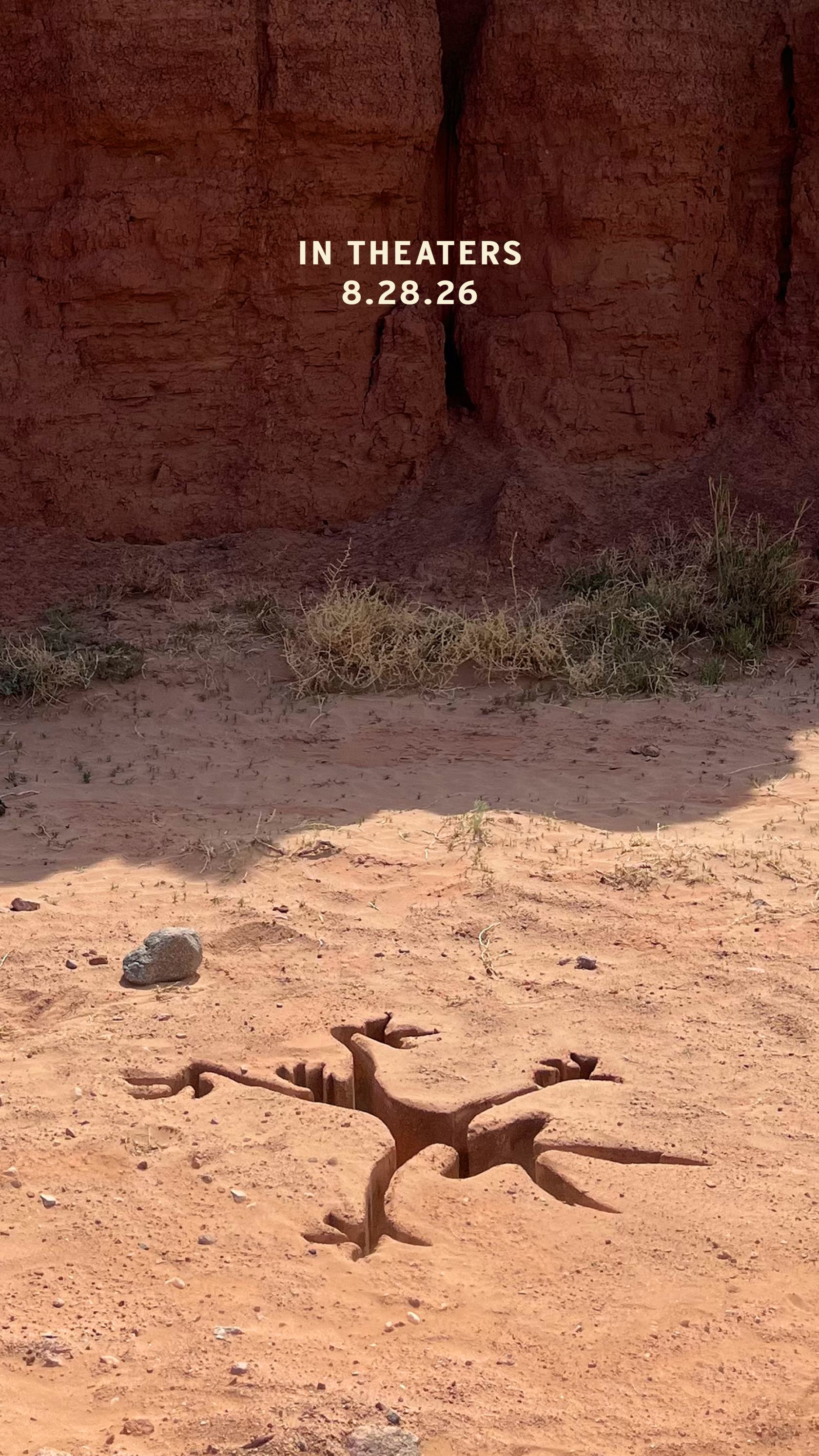 Coyote vs. Acme Poster #2