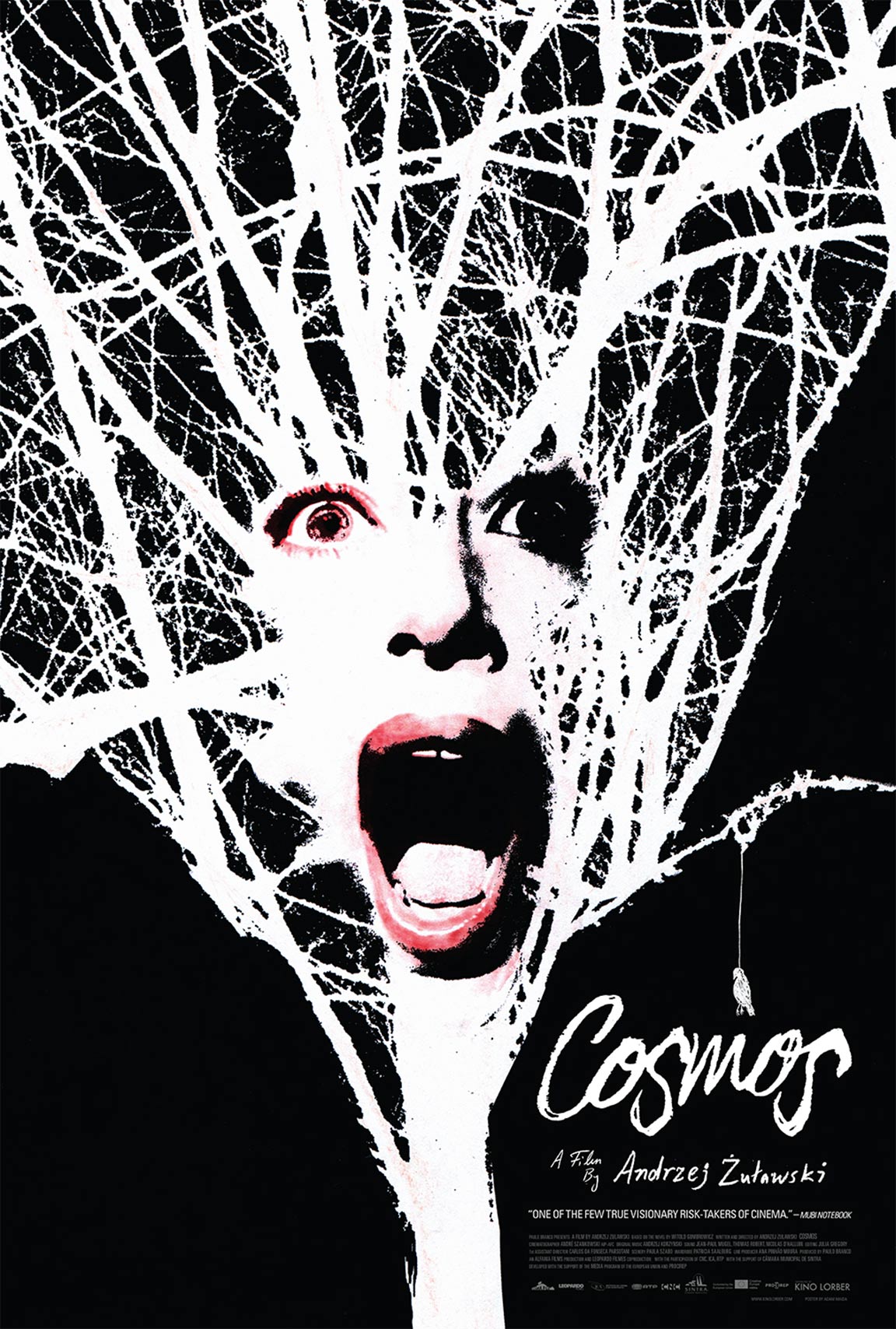 Cosmos Poster #1