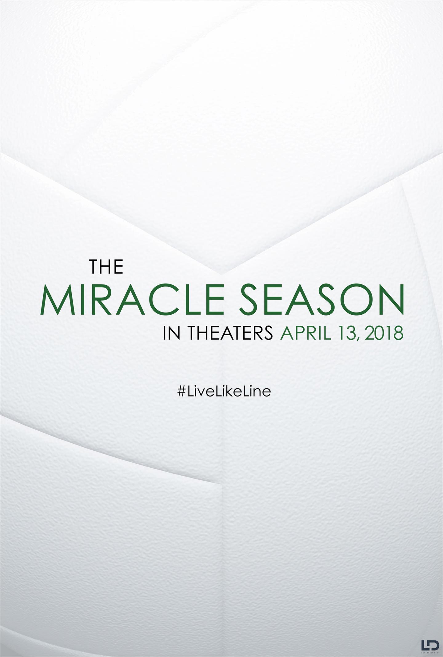The Miracle Season Poster #1