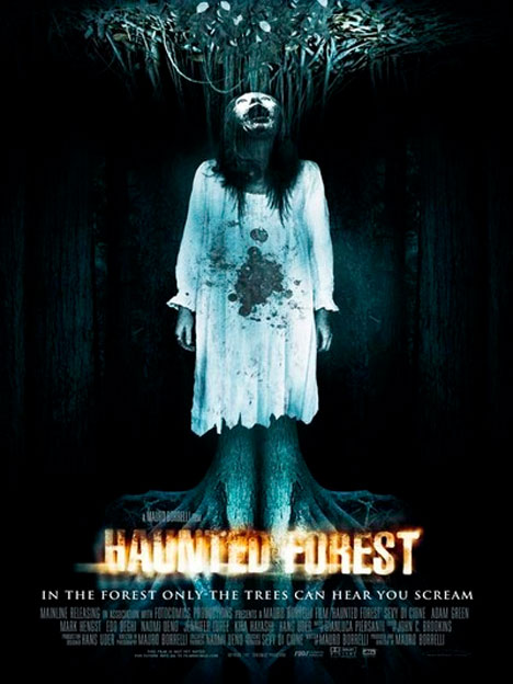Haunted Forest Poster #1