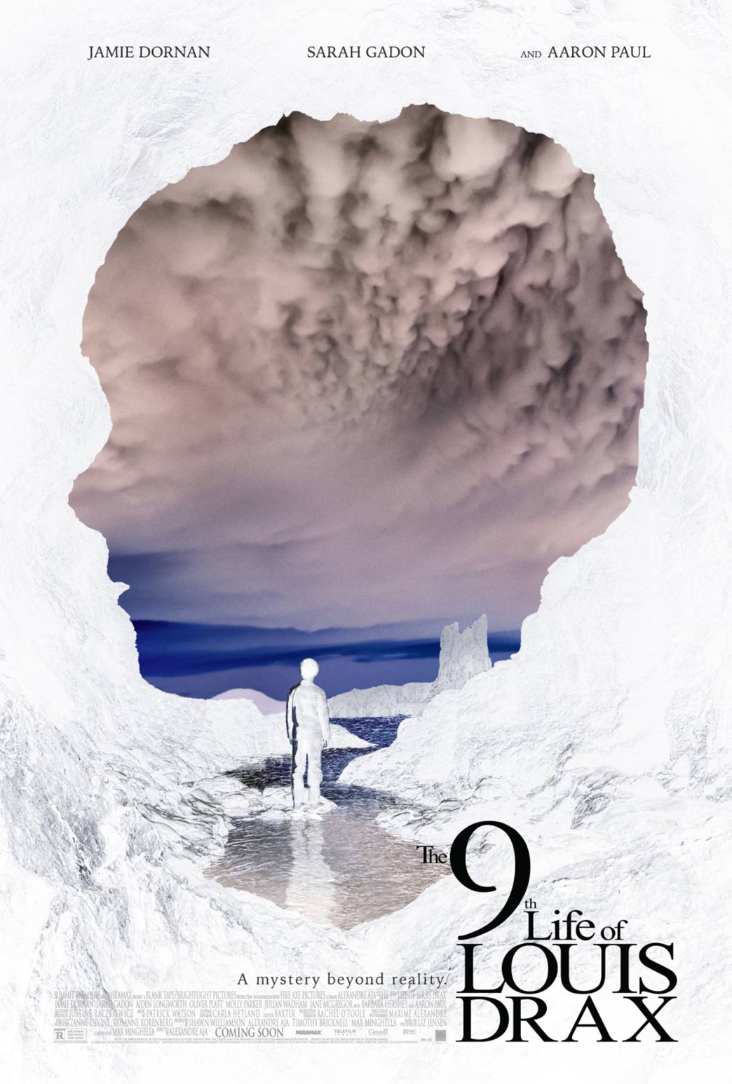 The 9th Life of Louis Drax Poster #3