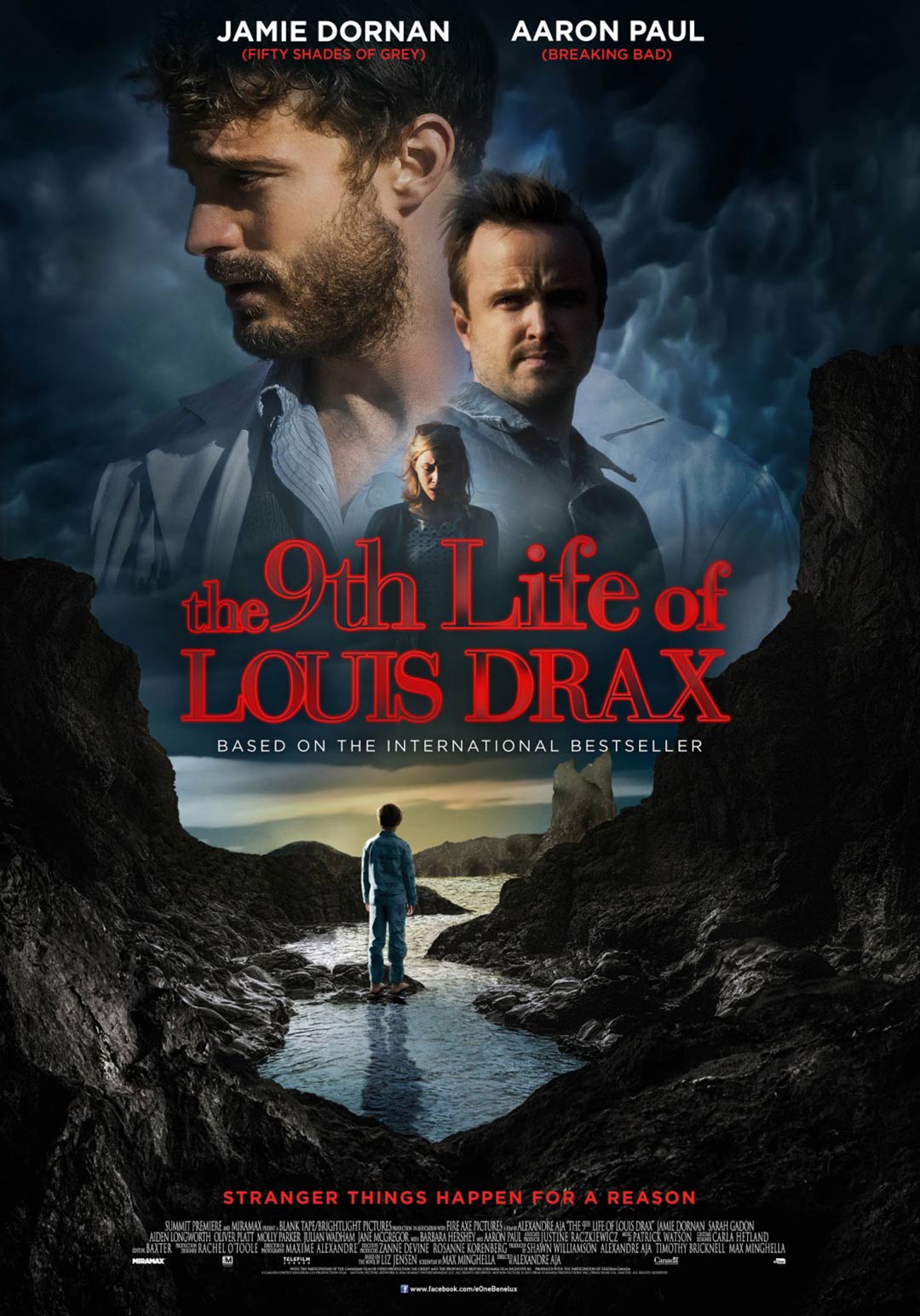 The 9th Life of Louis Drax Poster #4