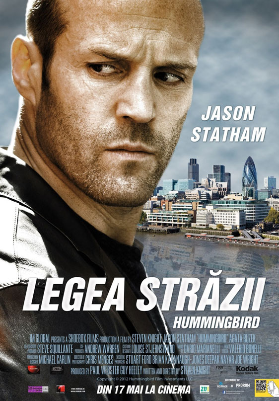 Hummingbird Poster #5