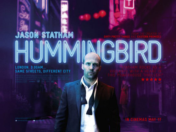 Hummingbird Poster #6