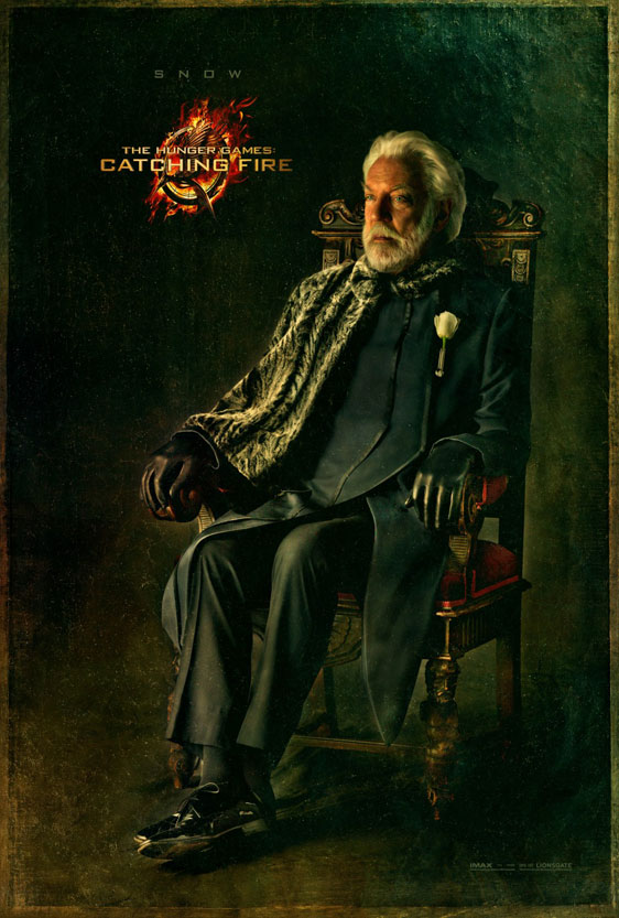 The Hunger Games: Catching Fire Poster #14