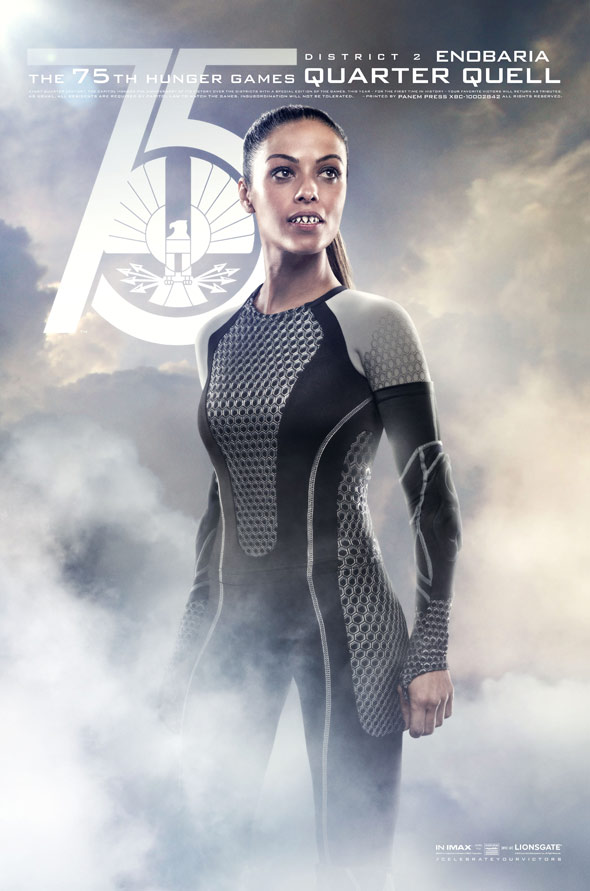 The Hunger Games: Catching Fire Poster #22
