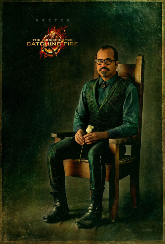 The Hunger Games: Catching Fire Poster #9