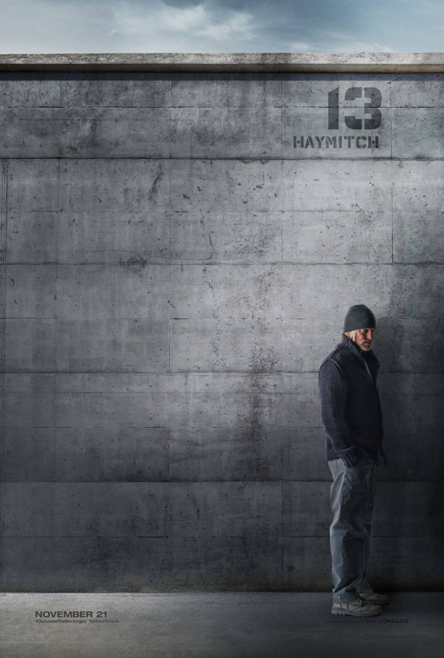 The Hunger Games: Mockingjay - Part 1 Poster #13