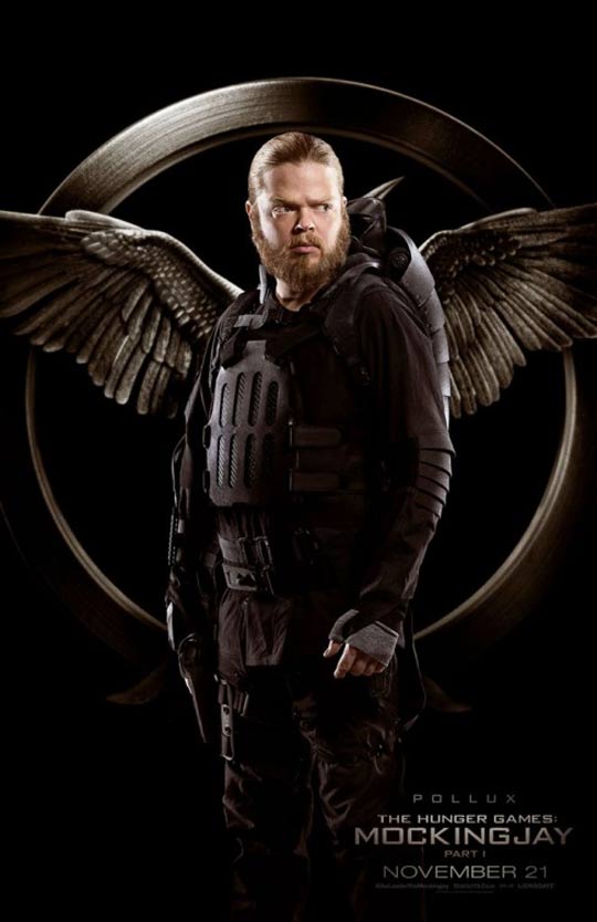 The Hunger Games: Mockingjay - Part 1 Poster #15