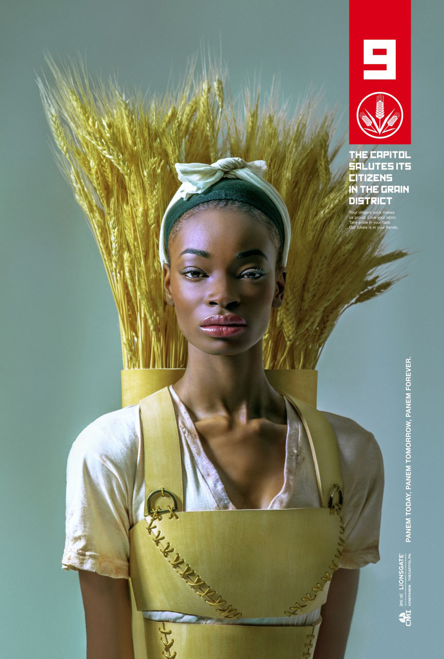 The Hunger Games: Mockingjay - Part 1 Poster #6
