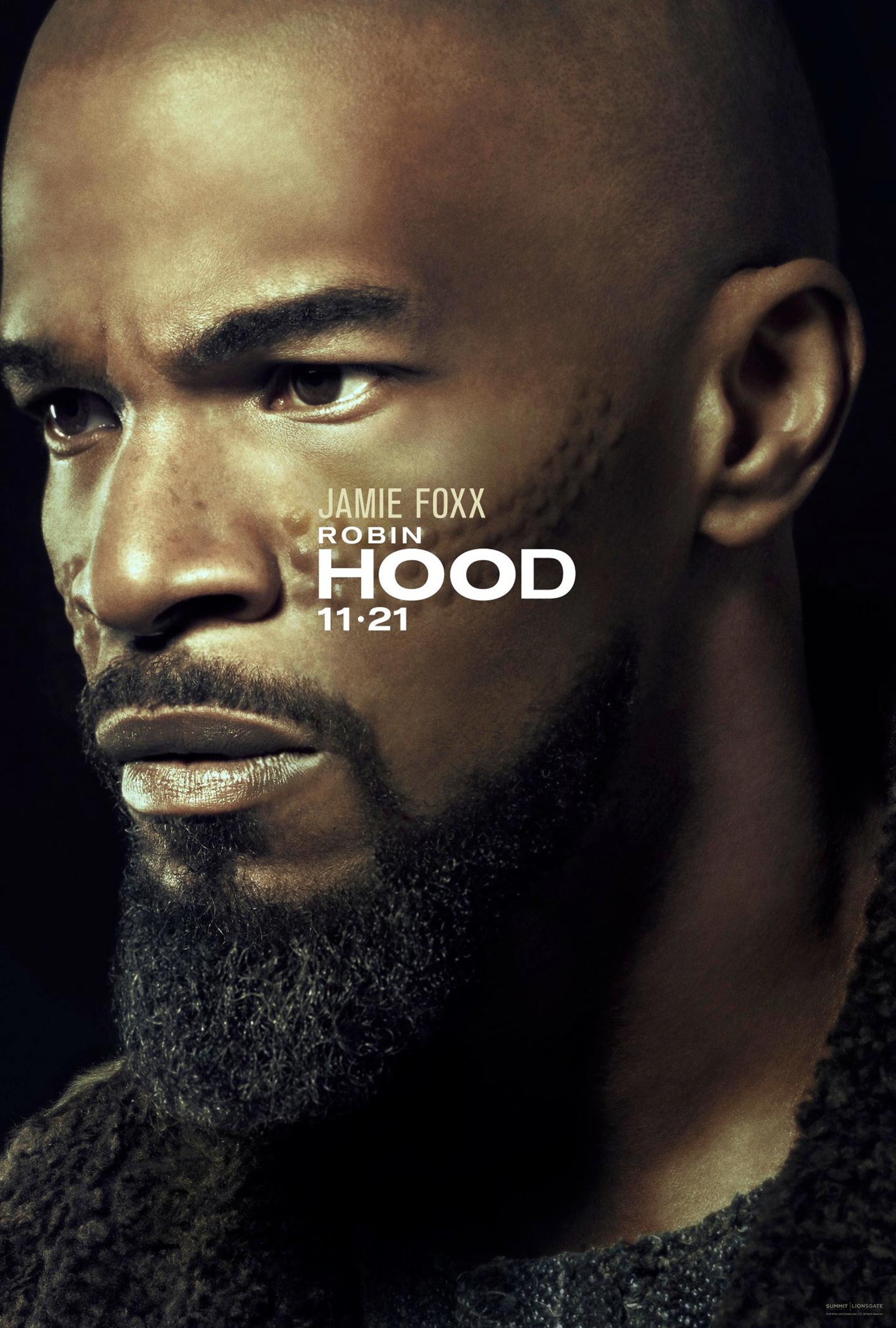 Robin Hood Poster #2