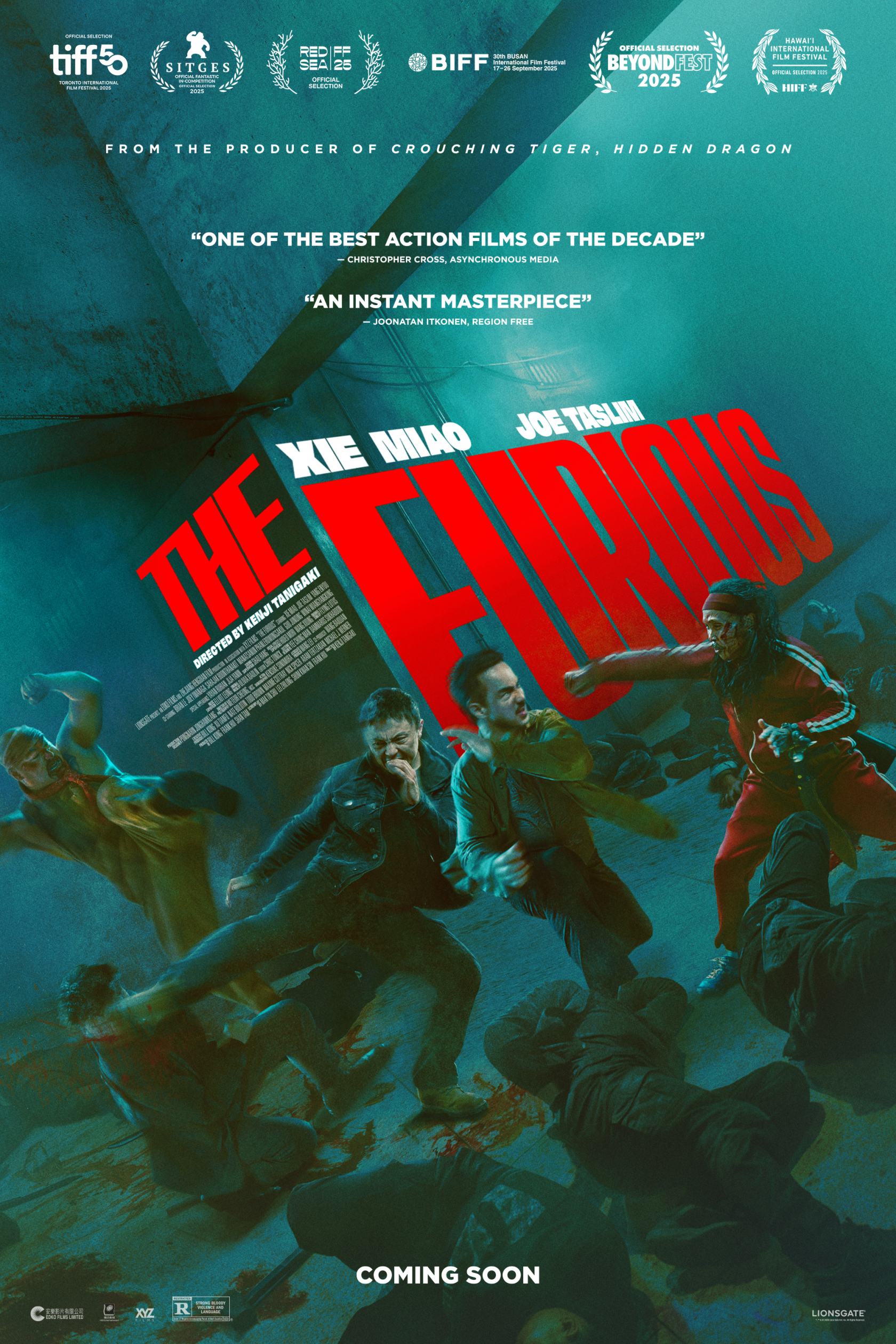 The Furious Poster #1