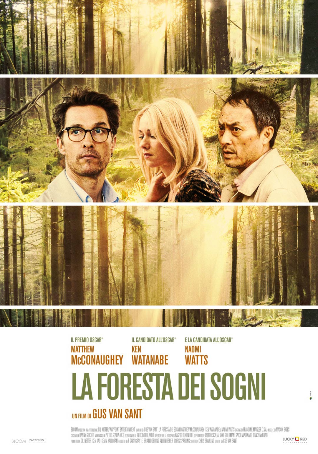 The Sea of Trees Poster #4